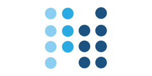 NanoView blue logo N